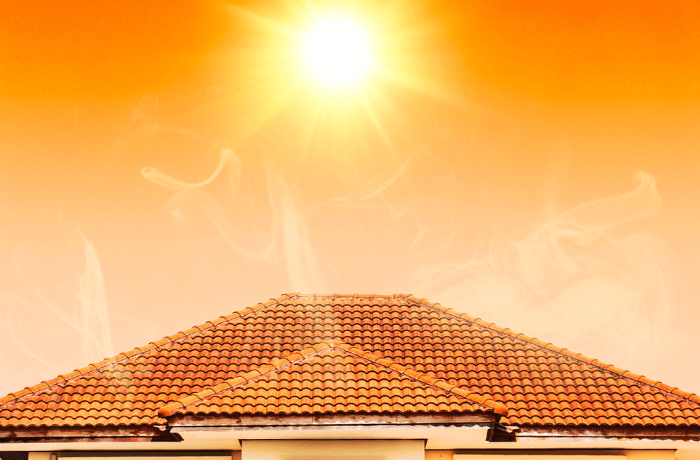 High noon in the roof